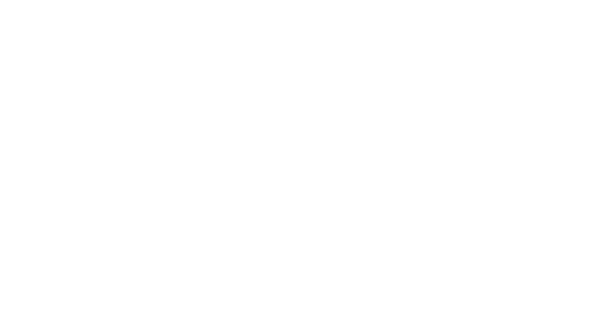 White text on a black background reads "ONE" in large bold letters, with "DOLPHIN PRESENTATION" in smaller capital letters below.