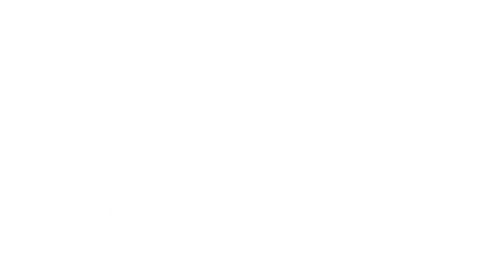 White text on a black background reads "ONE" in large bold letters, with "DOLPHIN PRESENTATION" in smaller capital letters below.