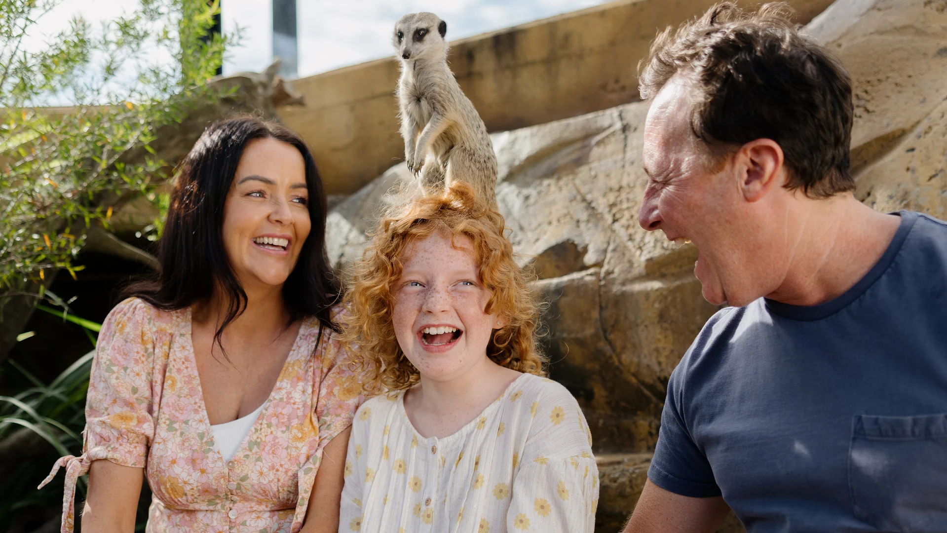 A woman, a child, and a man sit outdoors on wooden steps, smiling and laughing together. A meerkat stands alert behind them on a rock, adding a playful touch to the scene.