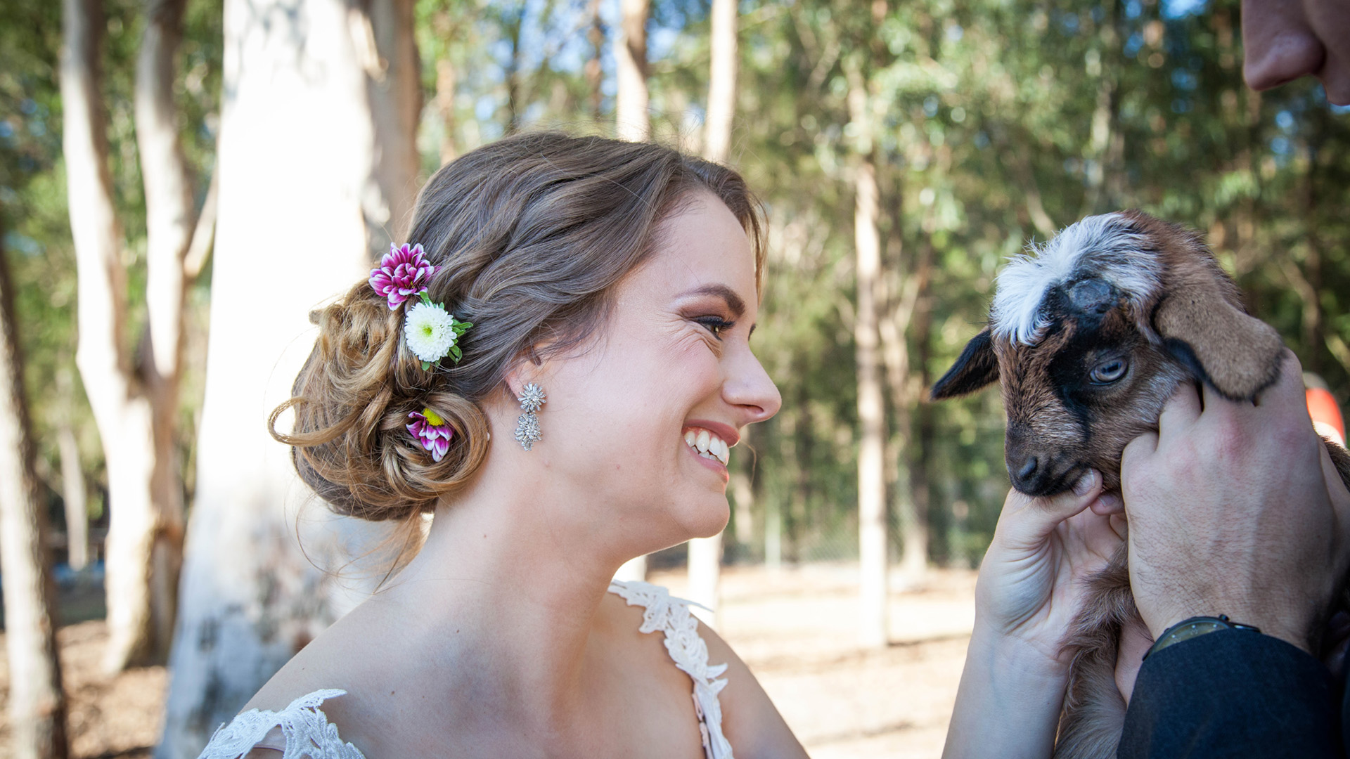 A bride smiling and petting a baby goat.