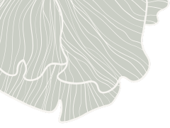 Abstract design featuring wavy, irregularly shaped white lines on a light gray background, resembling a contour map or topographic lines.