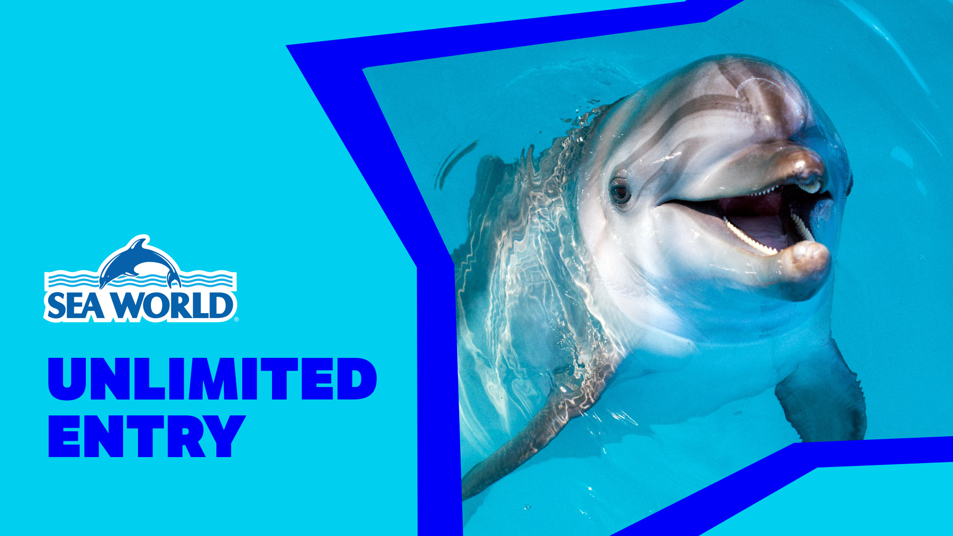 A smiling dolphin swims in clear blue water next to the SeaWorld logo and the words "UNLIMITED ENTRY" on a bright blue background.