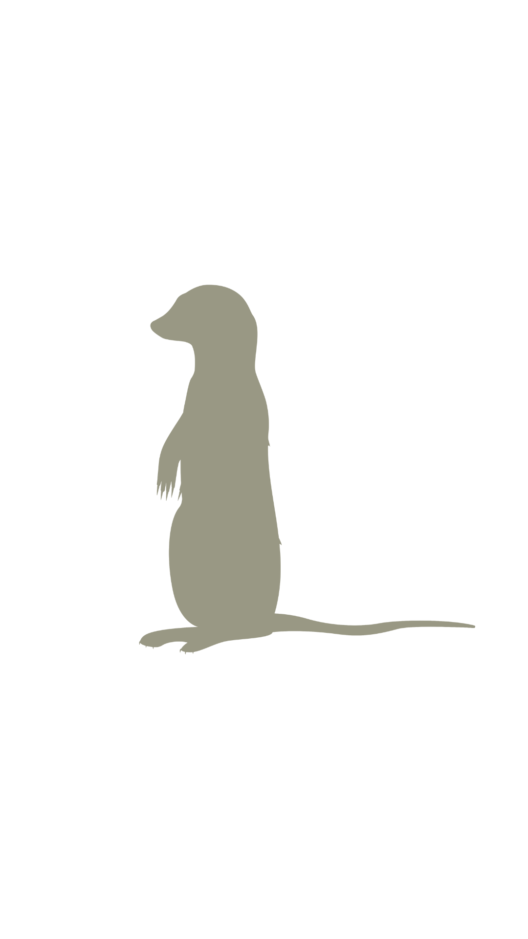 A simple, solid grey silhouette of a meerkat standing upright on its hind legs against a plain black background.