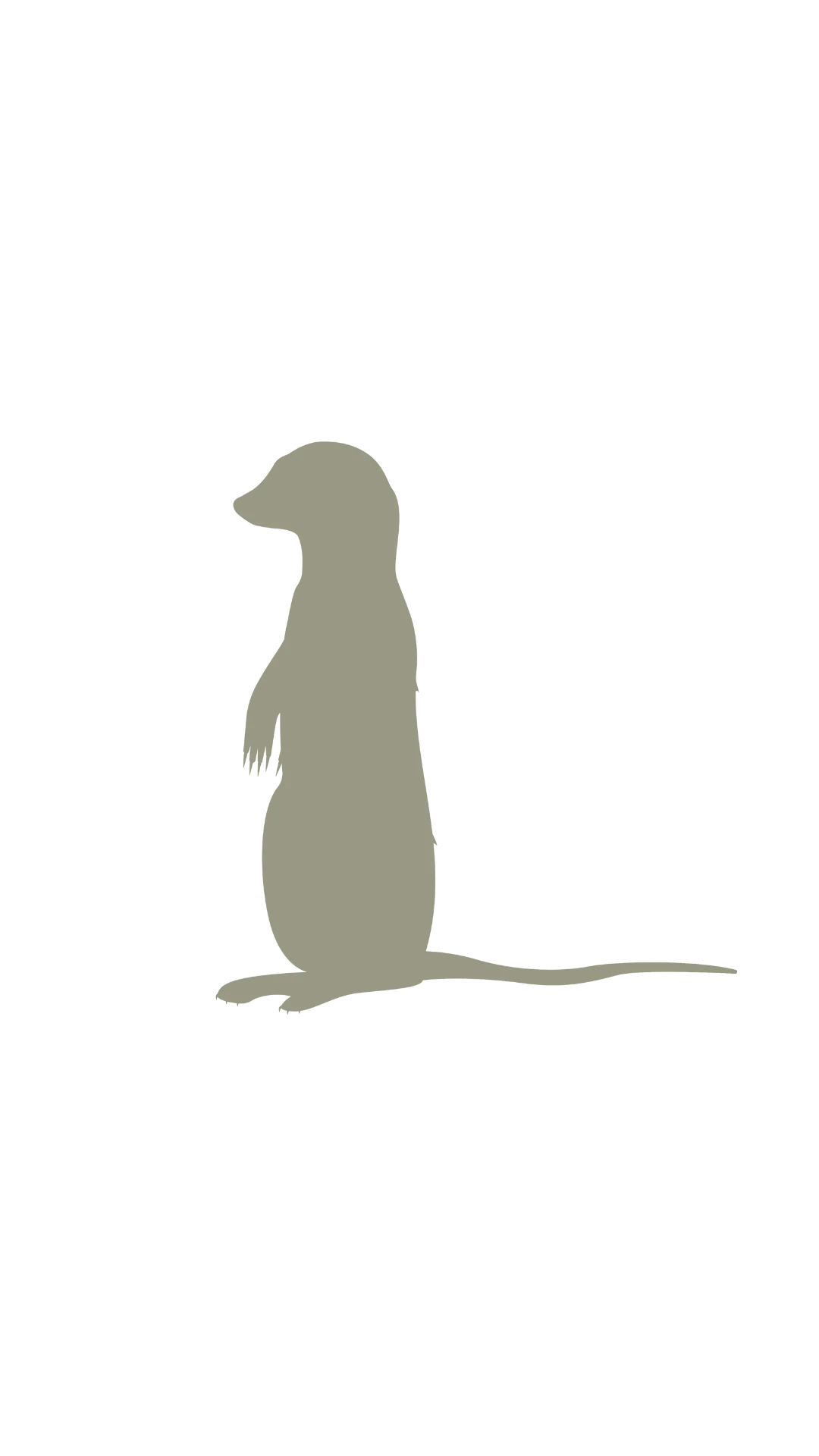 A simple, solid grey silhouette of a meerkat standing upright on its hind legs against a plain black background.
