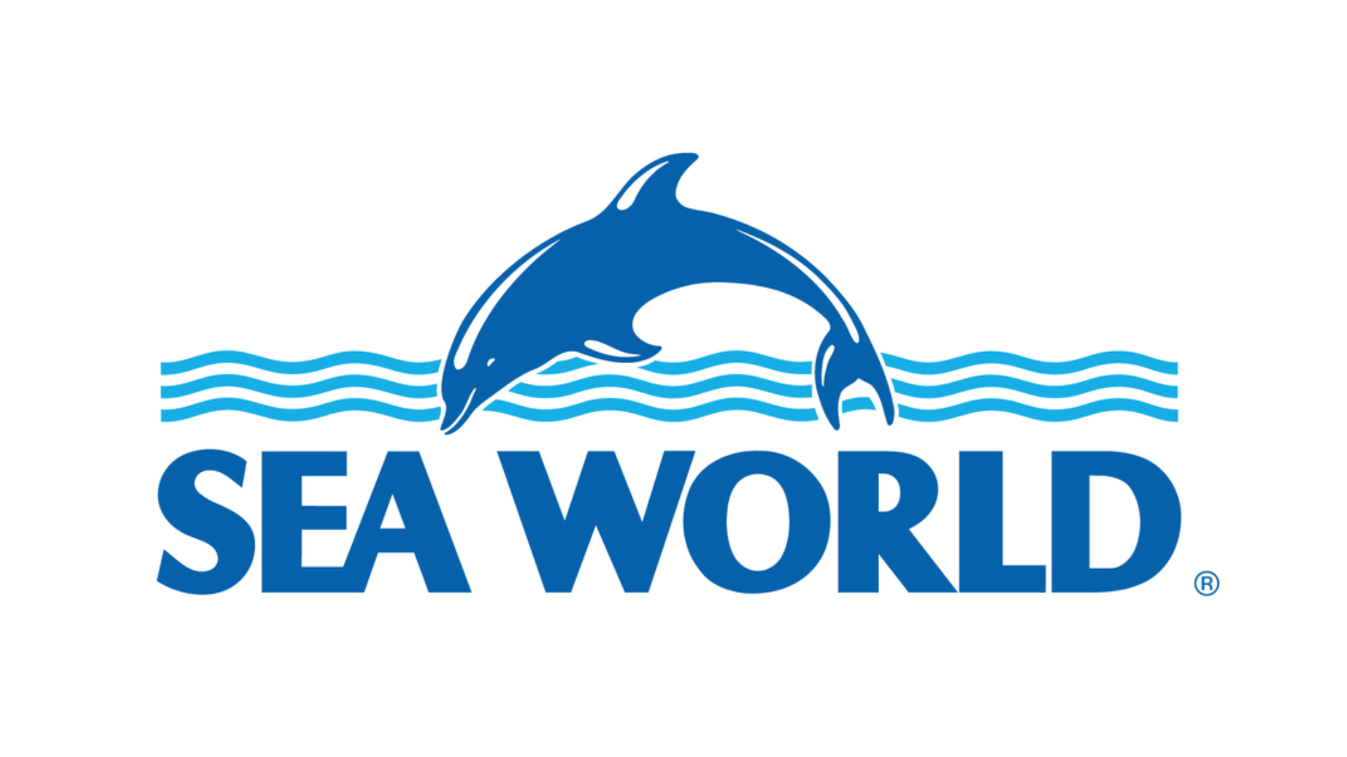 SeaWorld logo featuring a blue dolphin jumping over stylized blue waves, with the words "SEA WORLD" in bold blue uppercase letters beneath the dolphin.