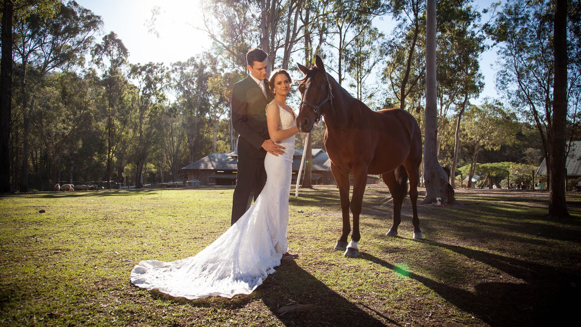 A bride in a white dress and a groom in a dark suit stand together outdoors beside a brown horse, with trees and a rustic building in the background.