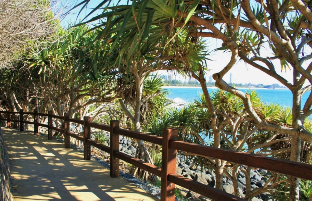 A paved pathway lined with tropical trees and a wooden fence runs alongside a rocky shoreline with blue ocean water visible through the branches.
