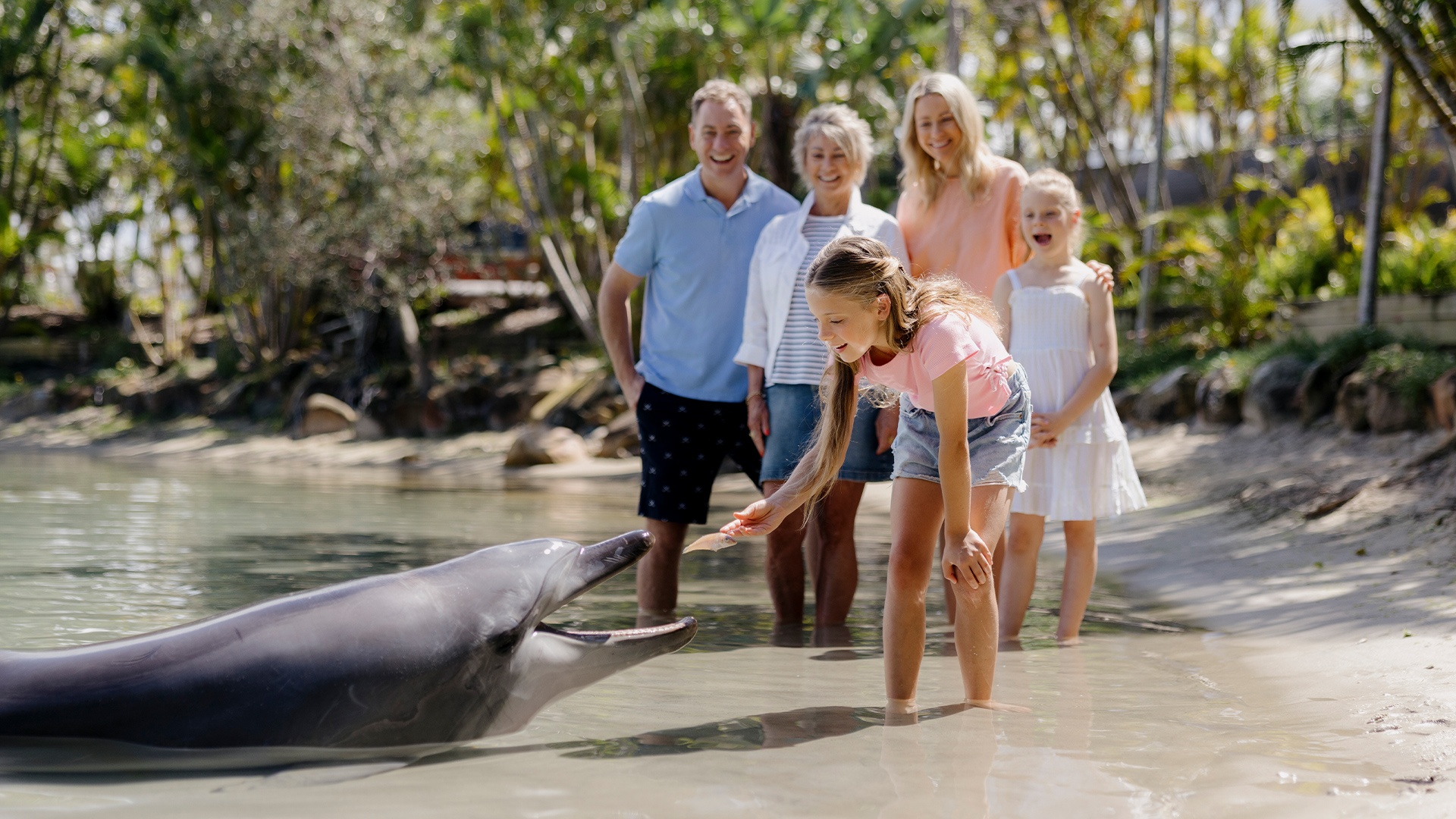 A young girl feeds a dolphin in shallow water while four smiling adults and a child stand behind her, watching and enjoying the moment in a lush, sunny outdoor setting.
