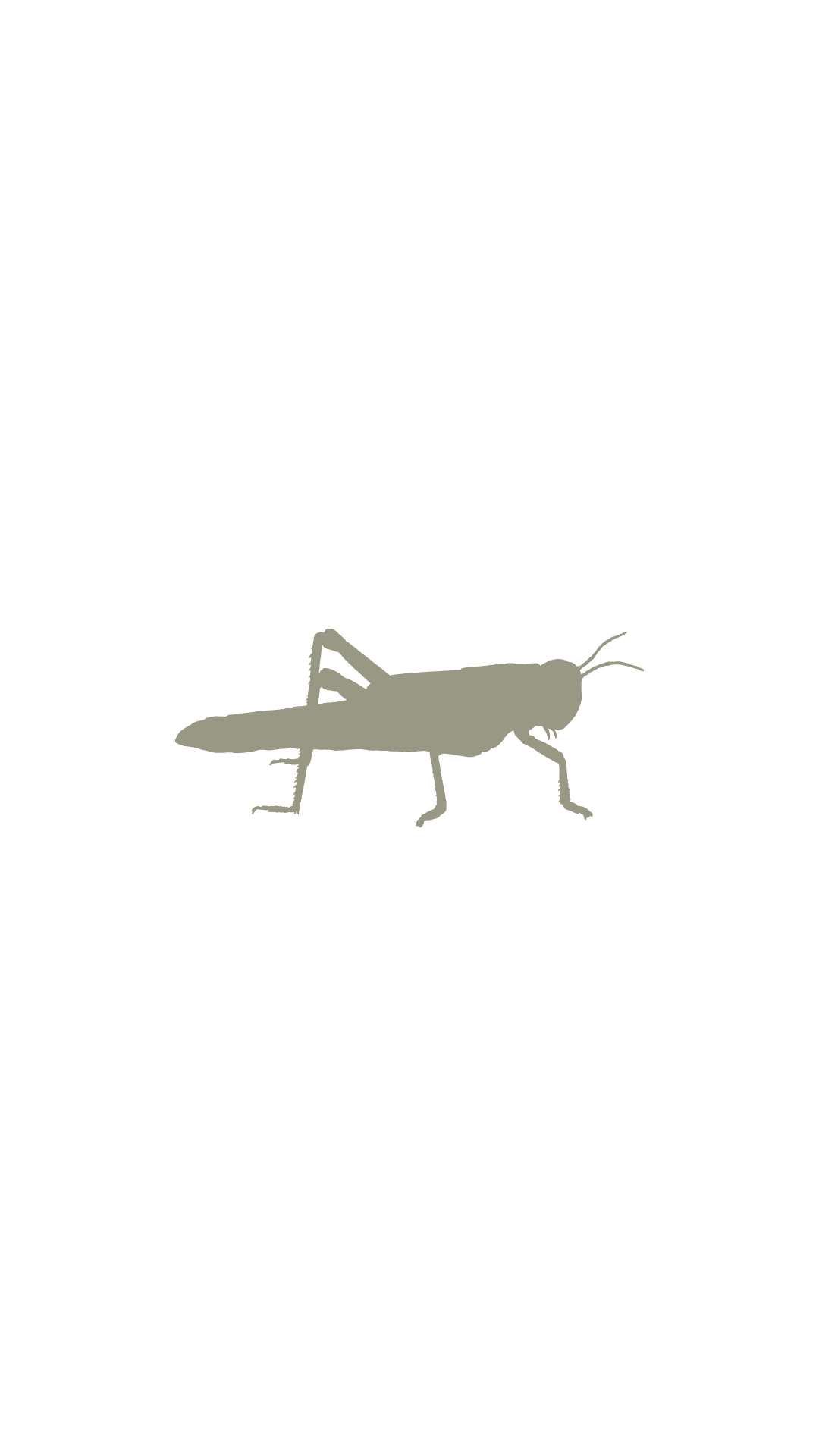 Illustration of multiple cockroaches scattered randomly on a black background.