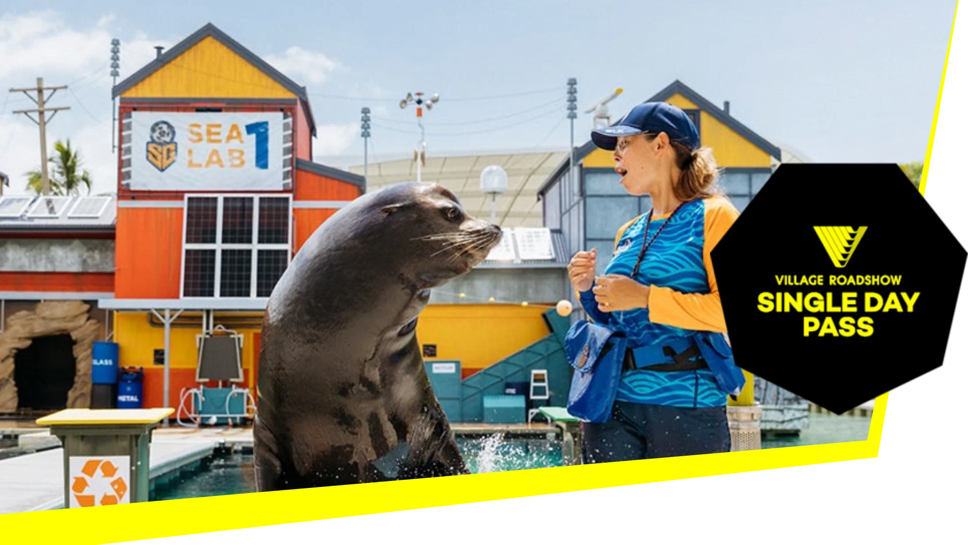 A sea lion interacts with a trainer in front of a building labeled "Sea Lab" at a marine park, with a sign reading "Village Roadshow Single Day Pass" in the foreground.