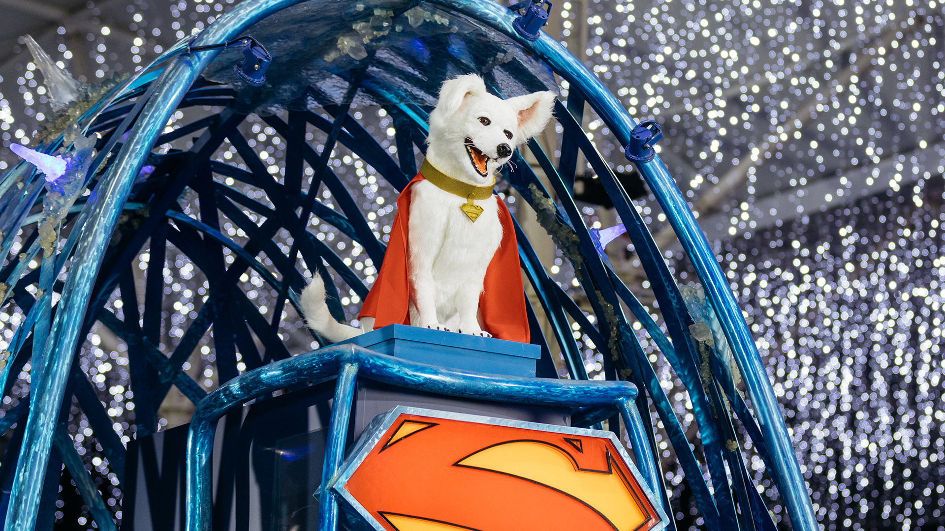 A dog dressed as a superhero, with a red cape and a gold collar, stands proudly on a blue platform featuring the Superman logo, surrounded by twinkling lights in the background.