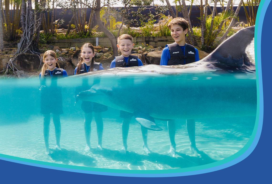 Four smiling children in wetsuits stand in shallow water next to a dolphin, partially submerged, with trees and rocks in the background. The image is bordered by a curved blue design at the bottom.
