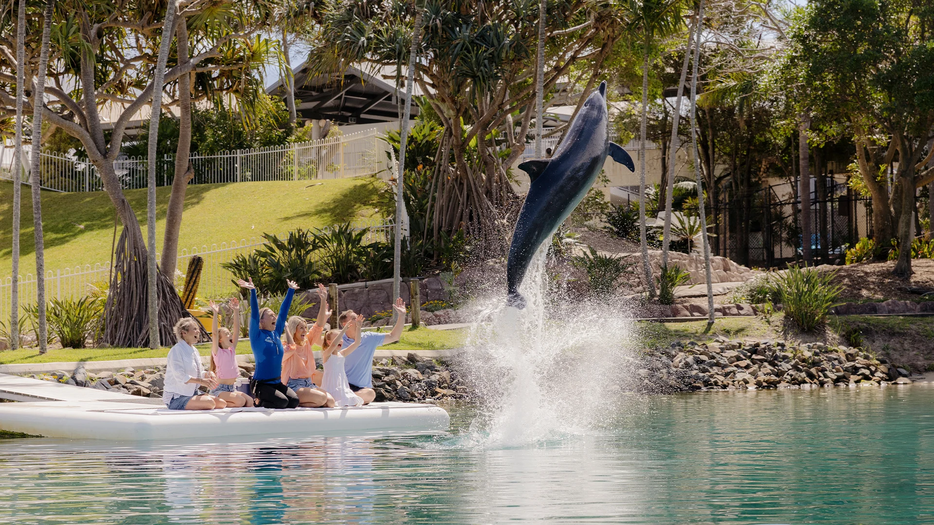 A group of people sitting on a dock cheer as a dolphin leaps high out of the water in front of them, surrounded by greenery and trees near the shoreline.