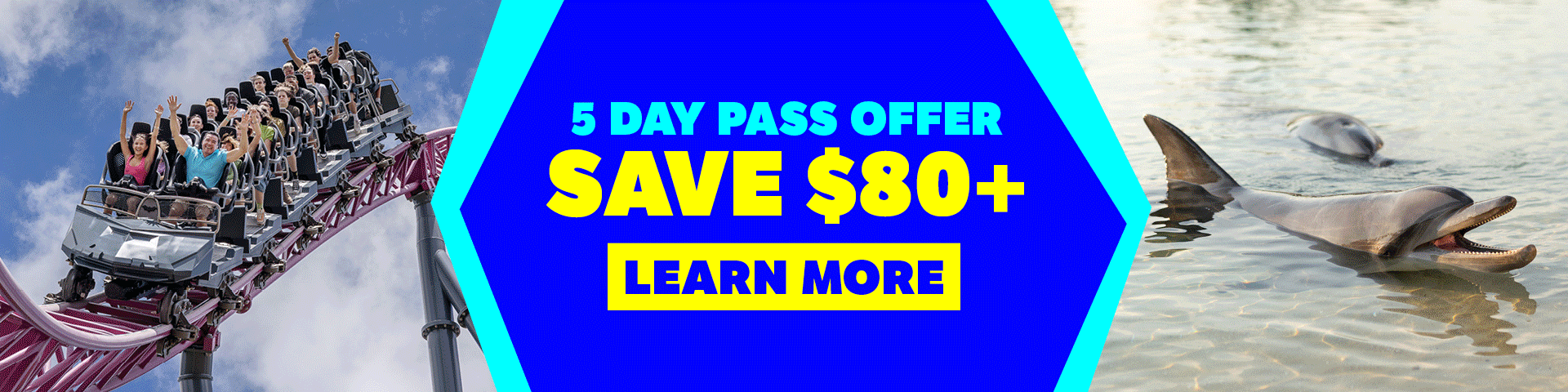 People on a roller coaster, dolphins in water, and a bright blue ad in the middle that says “5 Day Pass Offer, Save $80+, Learn More.”.