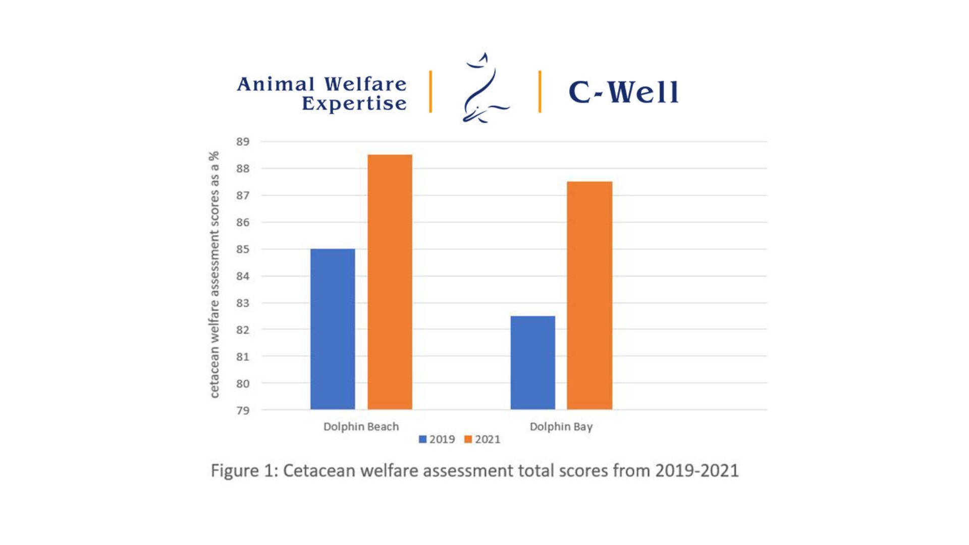 Bar chart comparing cetacean welfare scores at Dolphin Beach and Dolphin Bay from 2019 to 2021, showing higher scores in 2021.