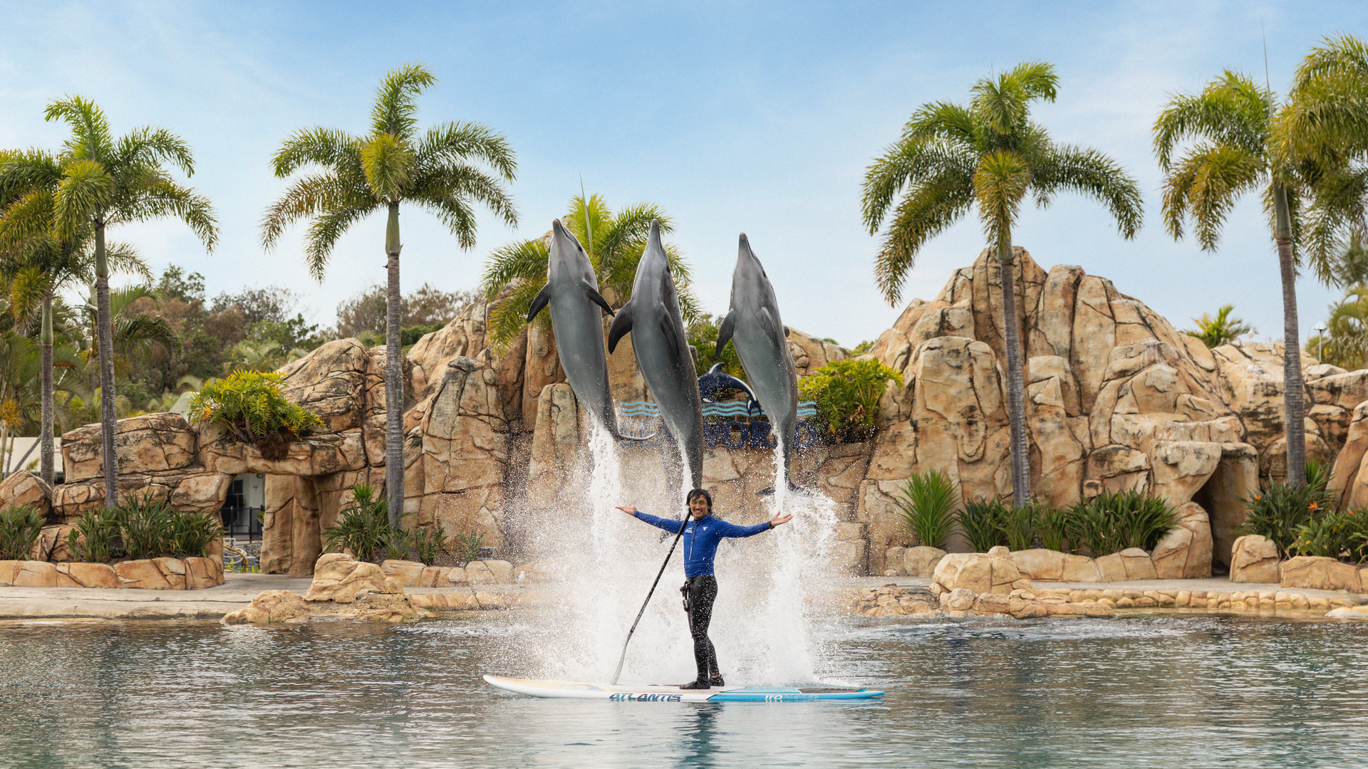 A person stands on a paddleboard in a pool, arms raised, as three dolphins leap out of the water behind them. Palm trees and large rocks are in the background, suggesting an aquatic park setting.