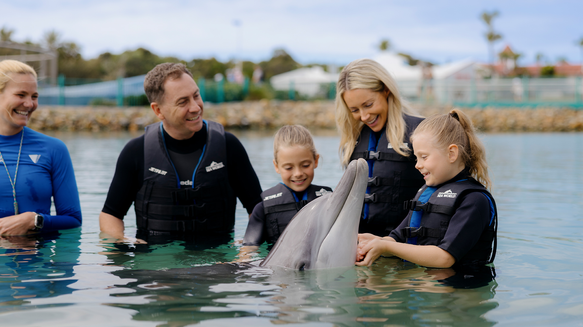 Four people in wetsuits stand in a pool, smiling and interacting with a dolphin swimming nearby underwater, with trees and a building visible in the background.
