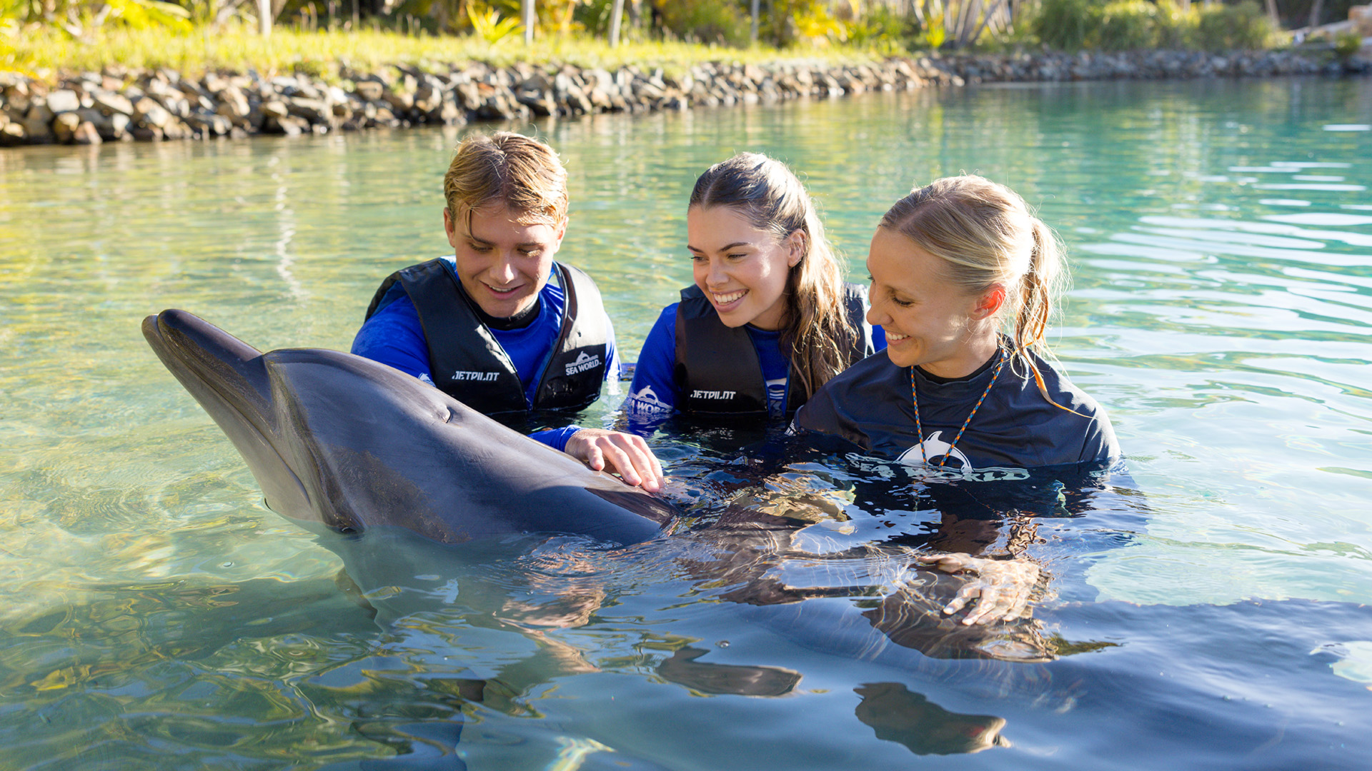Three people wearing life vests interact with a dolphin in shallow, clear water near a rocky shoreline and greenery.