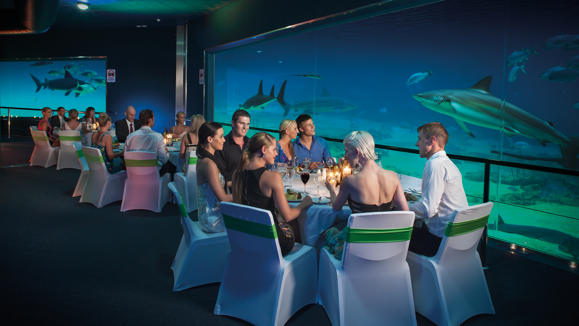 A group of people dressed formally are dining at elegantly set tables beside a large aquarium tank, with sharks and other fish swimming in the background. The atmosphere is ambient and sophisticated.