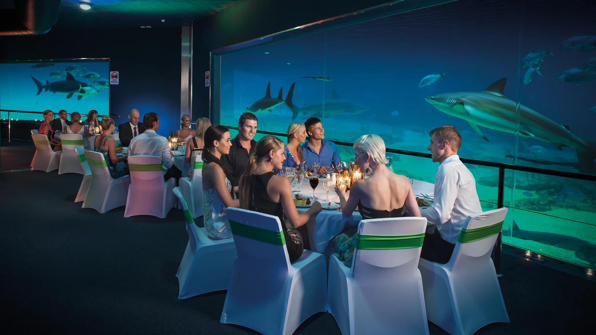 A group of people dressed formally are dining at elegantly set tables beside a large aquarium tank, with sharks and other fish swimming in the background. The atmosphere is ambient and sophisticated.