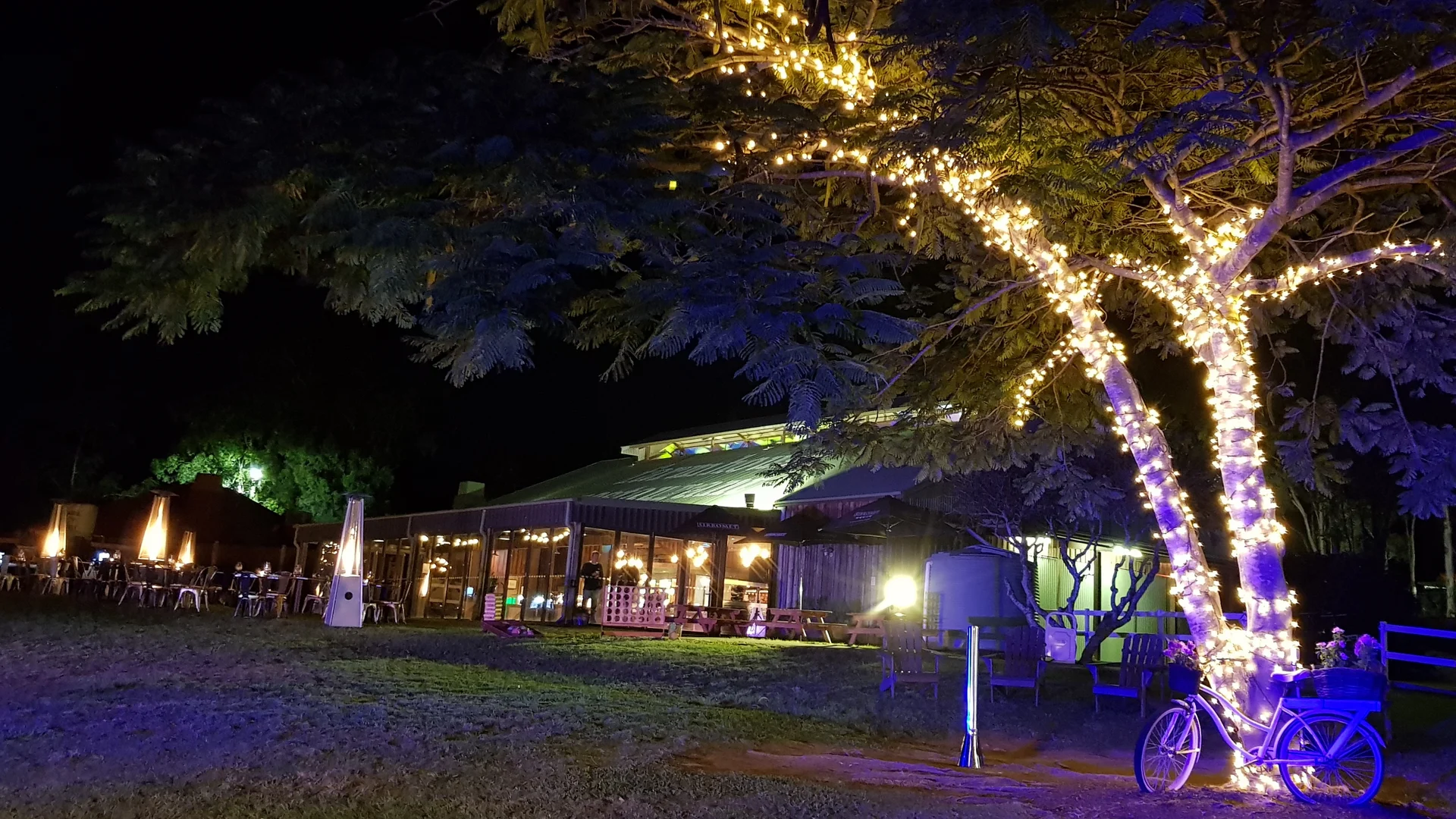 A tree wrapped in string lights stands near a bicycle in front of a glass-walled building with lit outdoor seating at night.