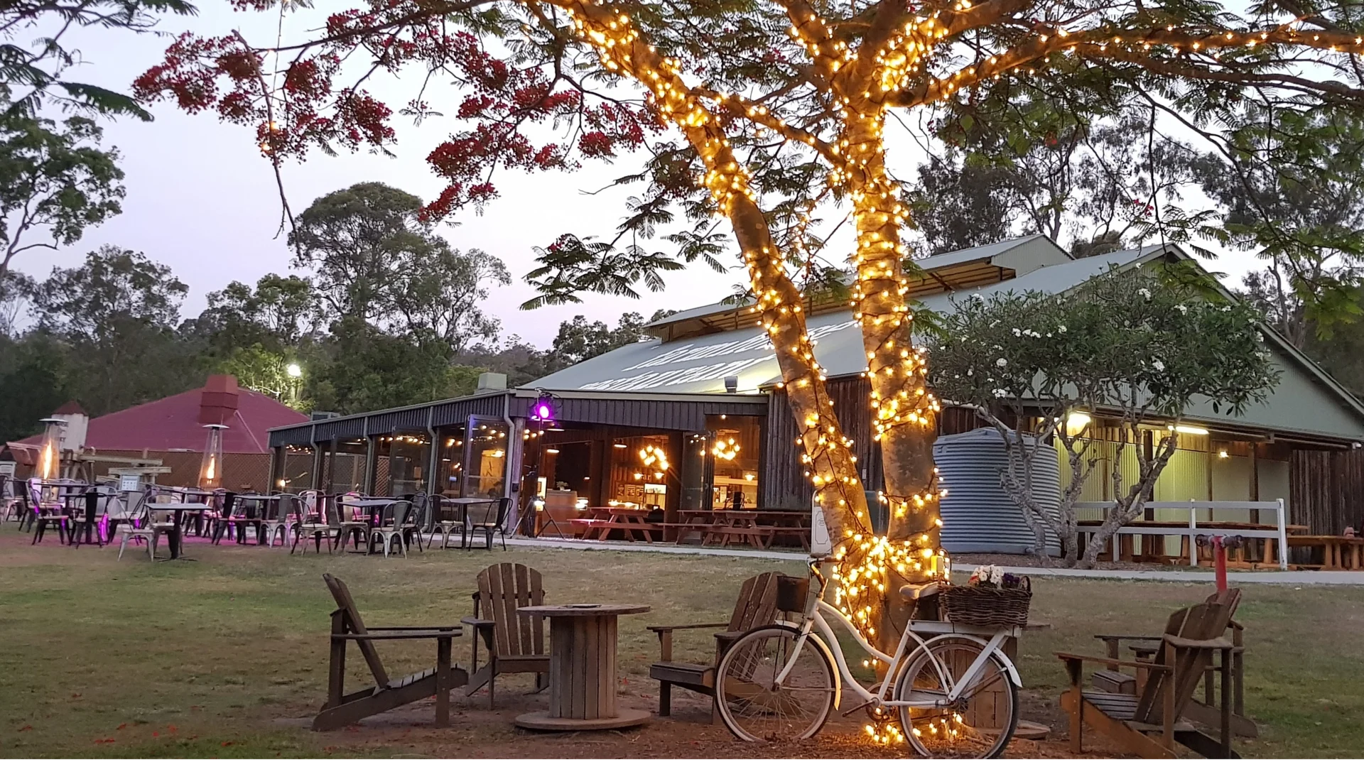 An outdoor cafe scene at dusk with string lights wrapped around a tree, wooden chairs arranged in a circle, and a white bicycle leaning against the tree. The cafe building in the background is warmly lit.
