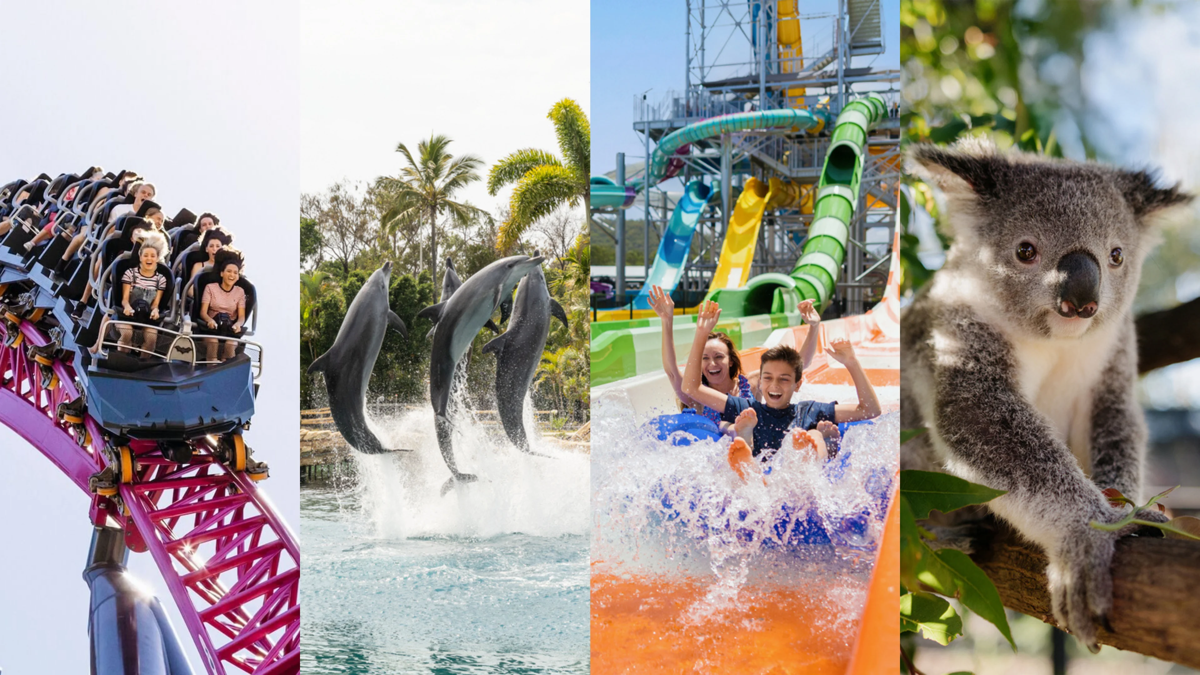 A collage of people enjoying theme park activities including roller coasters, water rides, dolphin and sea lion encounters, animal shows, and interactive family fun in sunny outdoor settings.