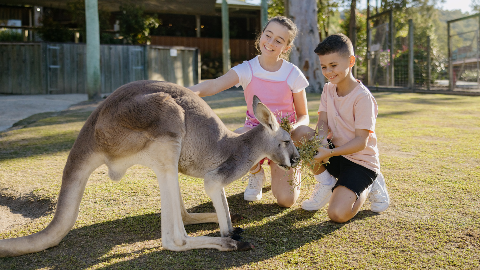 Two children are kneeling on grass, petting and feeding a kangaroo in an outdoor enclosure.