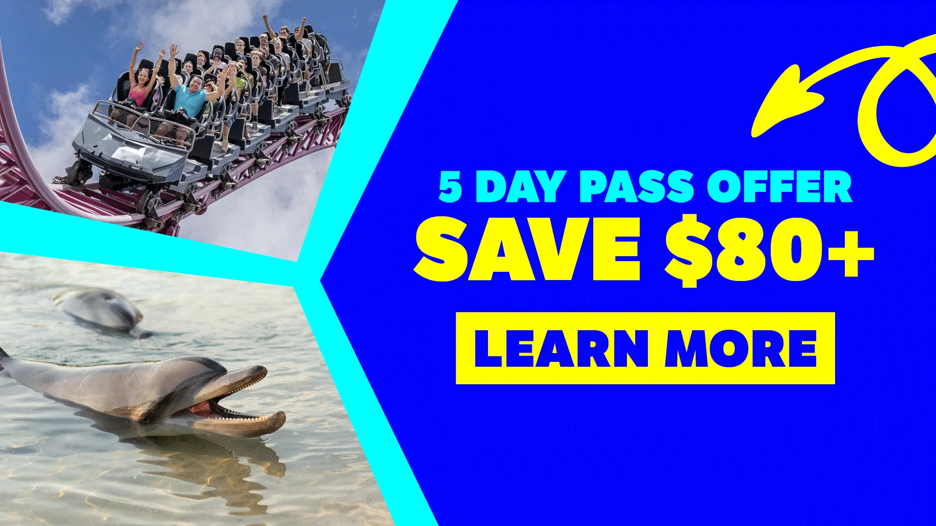 Roller coaster riders and dolphins pictured on a promotional graphic for a 5-day pass offer that saves $80 or more, with a “Learn More” button and bold blue and yellow text and graphics.