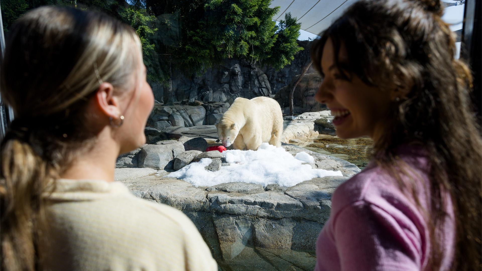 Two women observe a polar bear standing on rocks and snow in an outdoor zoo enclosure.