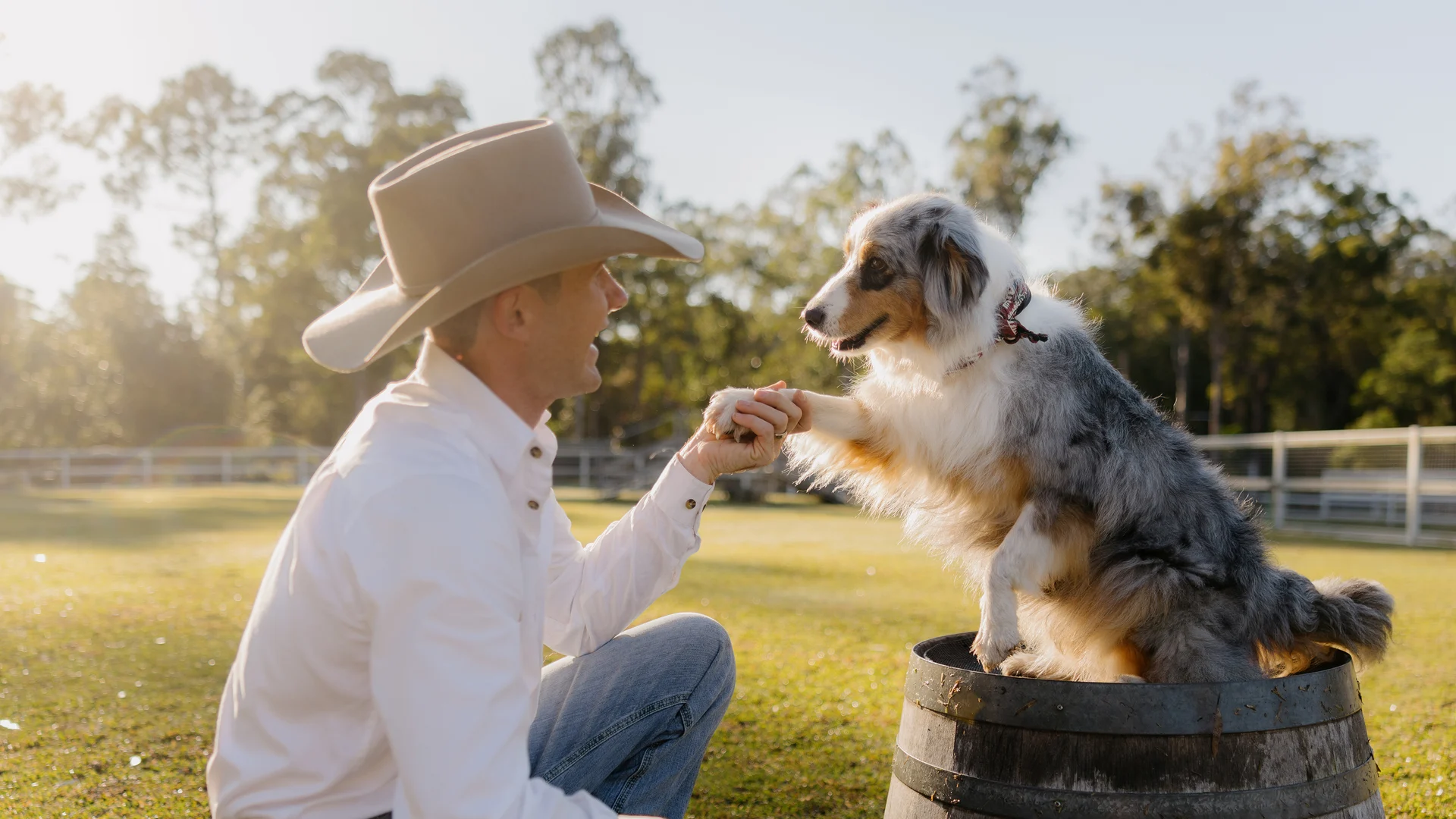 A man wearing a cowboy hat kneels on grass, smiling and shaking hands with a fluffy dog sitting on a wooden barrel in a sunlit outdoor setting. Trees and a fence are visible in the background.