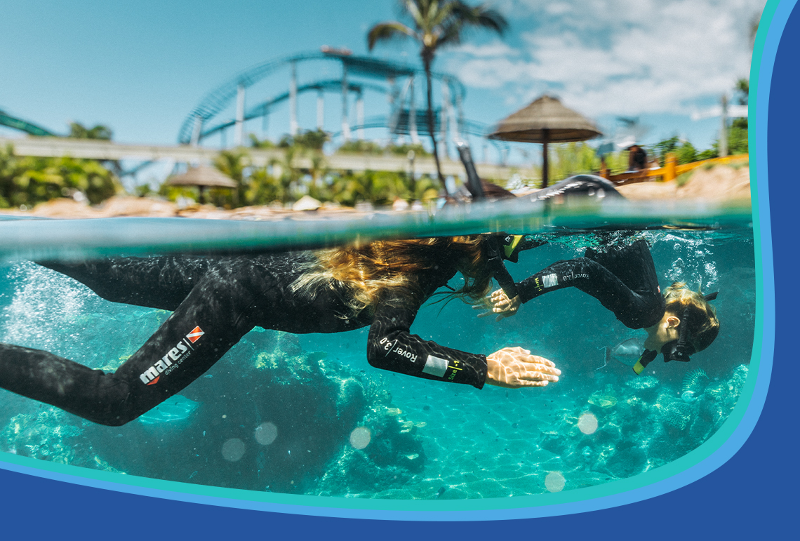 Two people in wetsuits and snorkel masks swim just below the water surface in a clear pool, with a water park structure visible in the background.