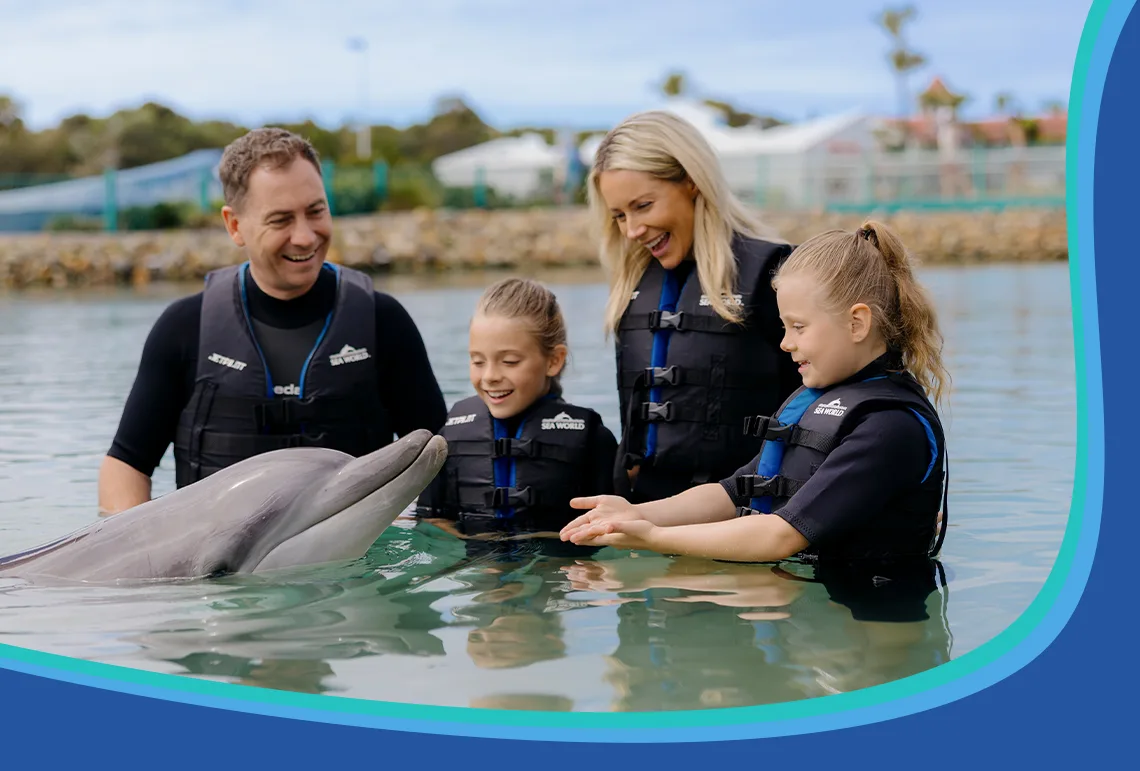 A smiling family of four wearing life vests interacts with a dolphin in shallow water at a marine park. The children reach out to touch the dolphin while the parents watch happily.