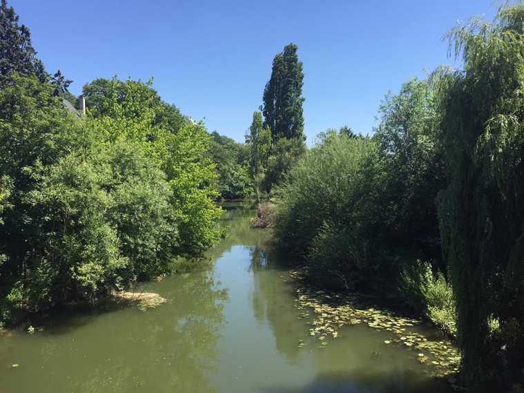 Renaturation des berges de l'Yerres