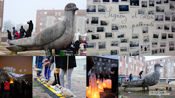 L'envol des pigeons à Grigny