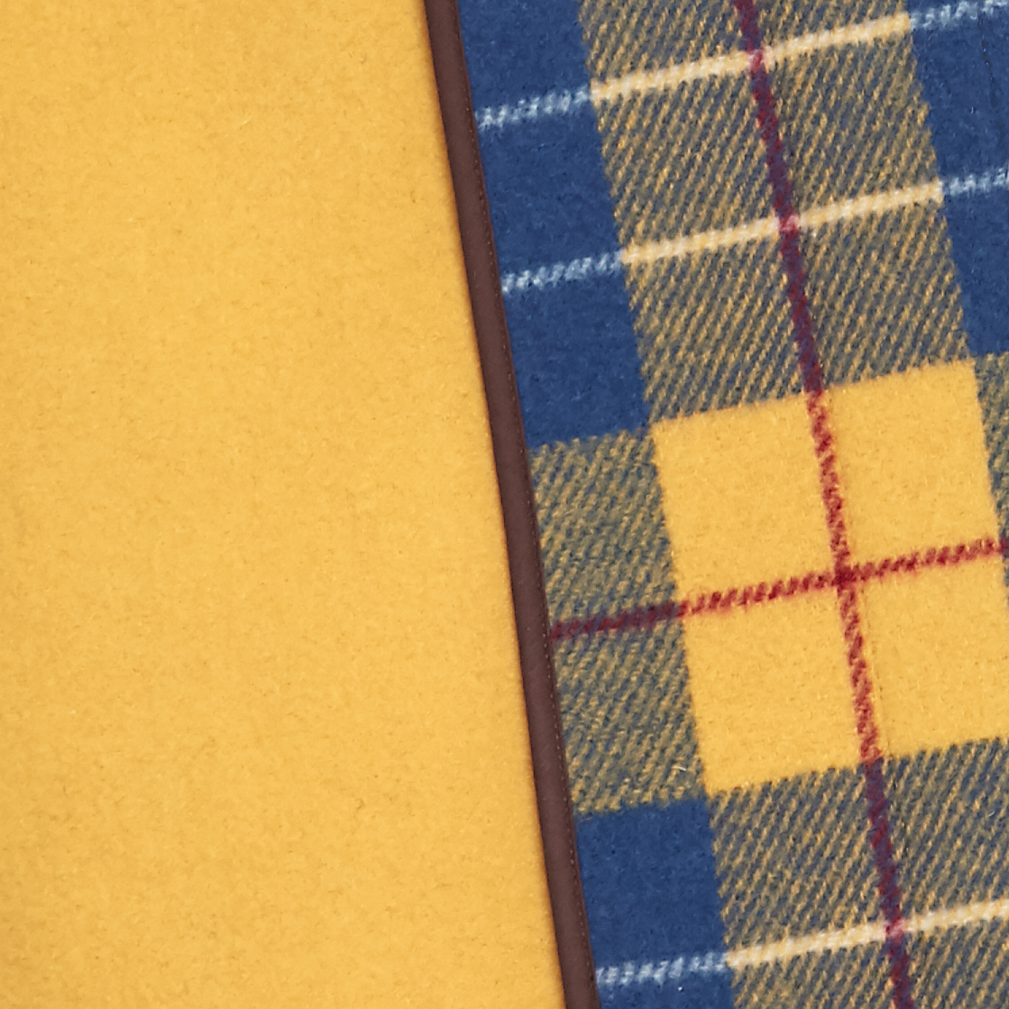 M11 Yellow OC swatch