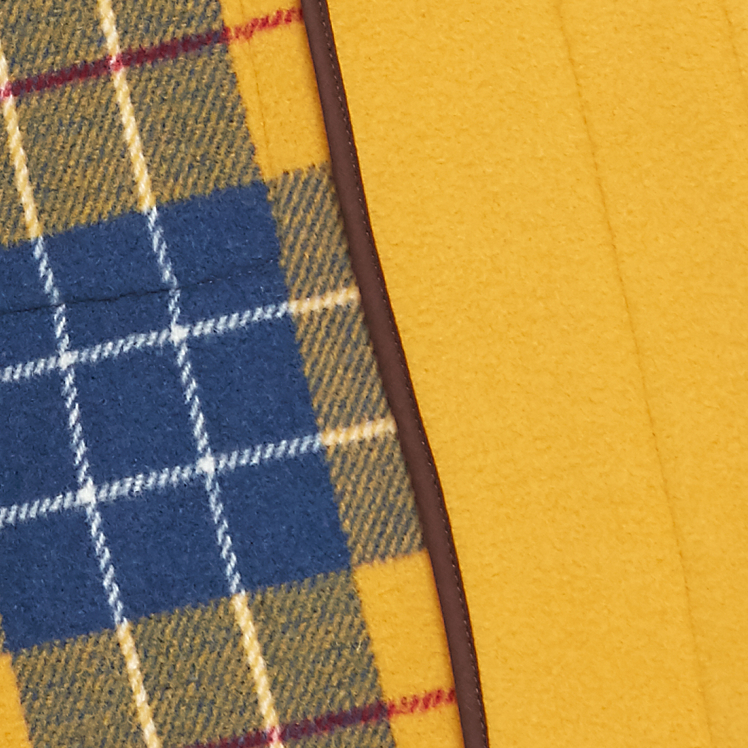 Martin Yellow swatch