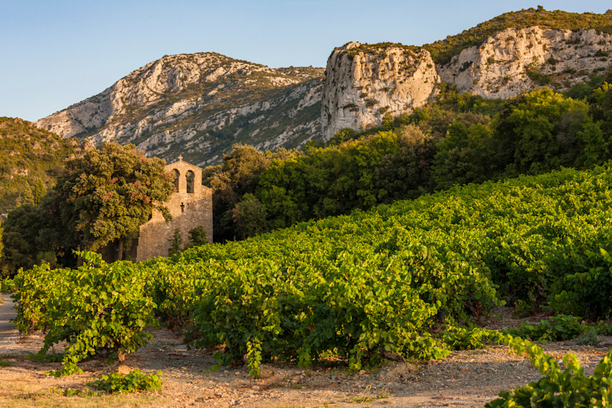 Vineyards across the Languedoc-Roussillon wine region in southern France