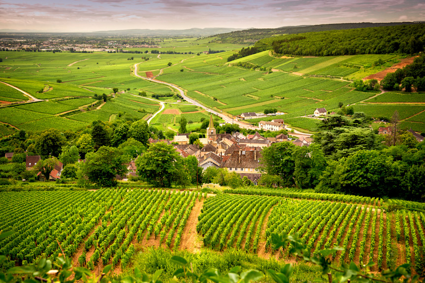 The Route des Grands Crus winding through the vineyards near Burgundy