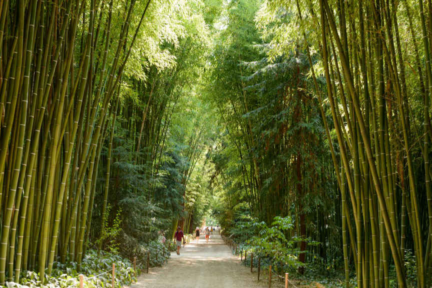 Jardin exotique dans les Cévennes 