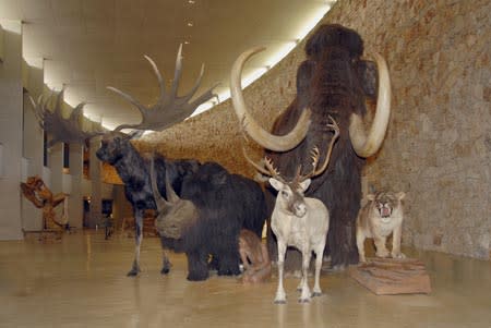 Prehistoric Museum of The Gorges du Verdon