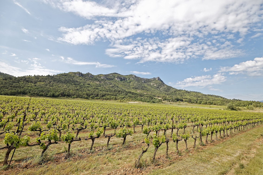 holiday home brignoles