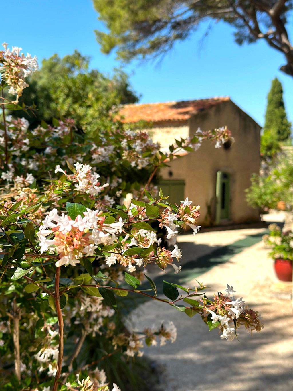 Fort Balaguier La Seyne sur Mer