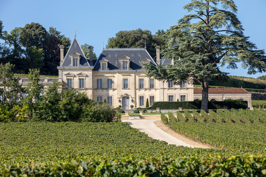 The vineyards of Château Fonplégade in Saint-Émilion, Bordeaux