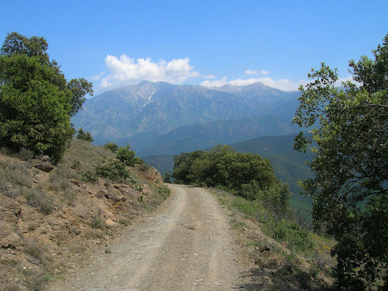 Canigou from Jujols