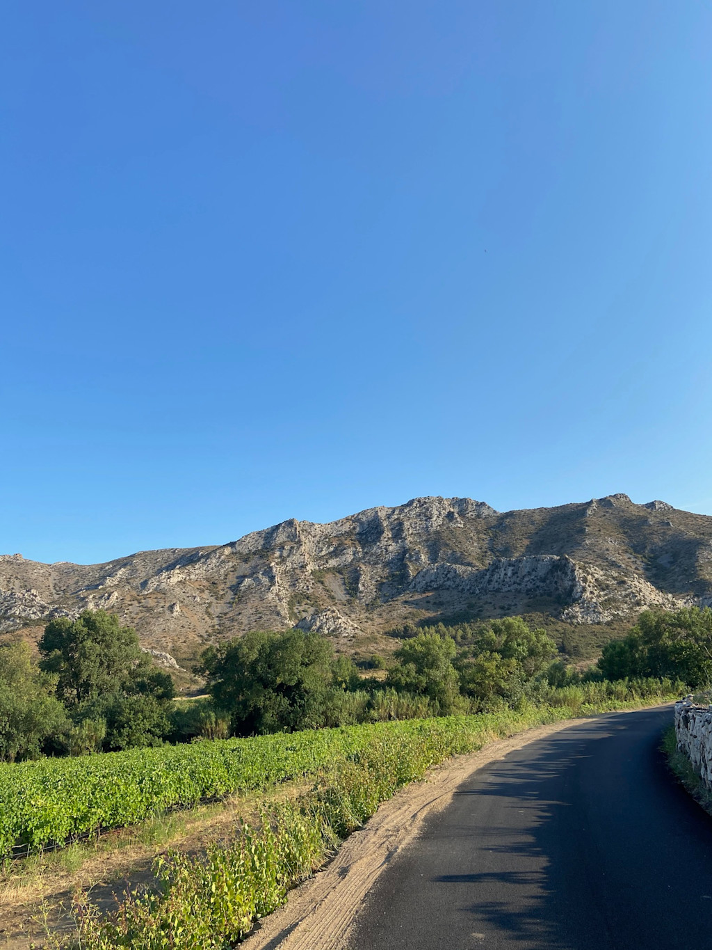 Château de Jau, wine domain