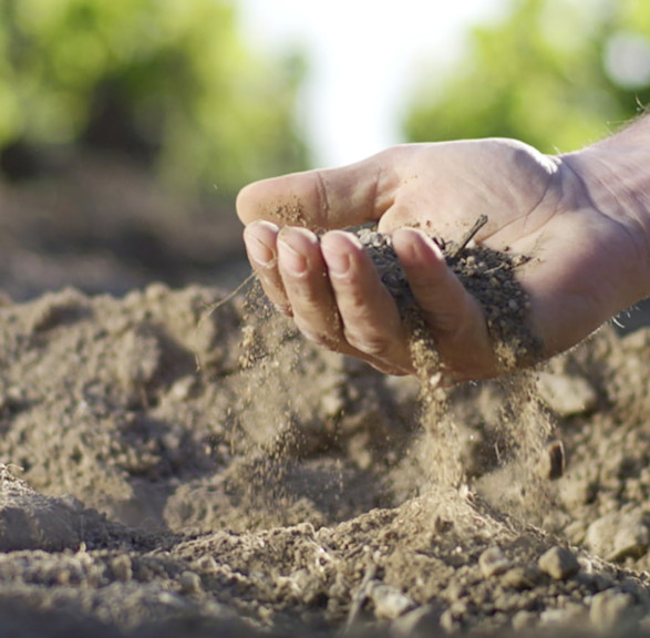 Chateau de la Chaize