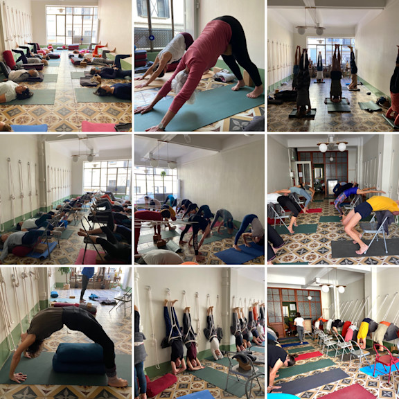 Iyengar Yoga Workshop in Perpignan July 22