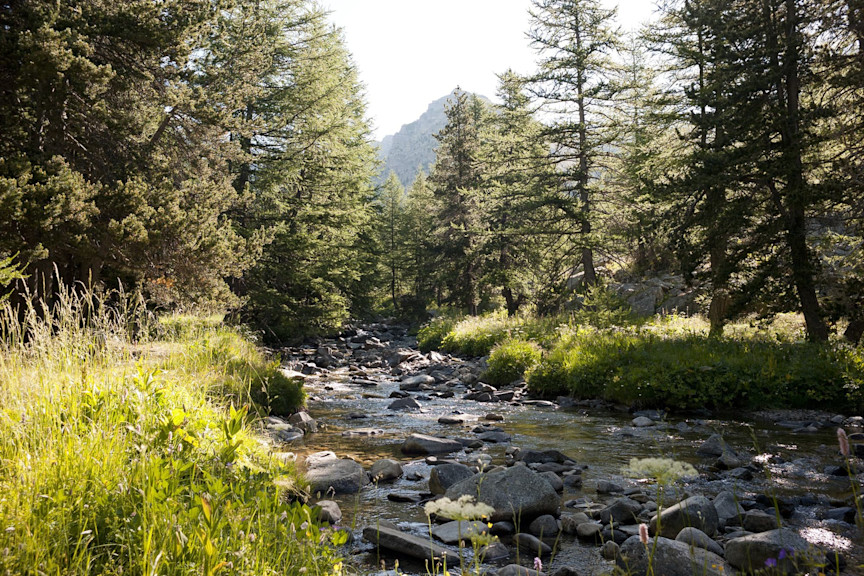 © https://pixabay.com/images/id-1326346/