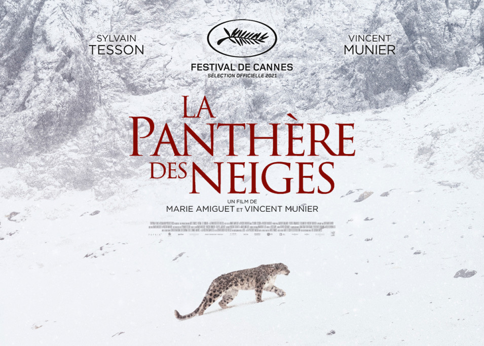 Institut français UK on X: Looking for snow leopards ❄️🐆 French traveller  #SylvainTesson won the Prix #Renaudot 2019 📖 for his book  #LaPanthèredesneiges @Gallimard, a poetic graphic journey in the footsteps  of